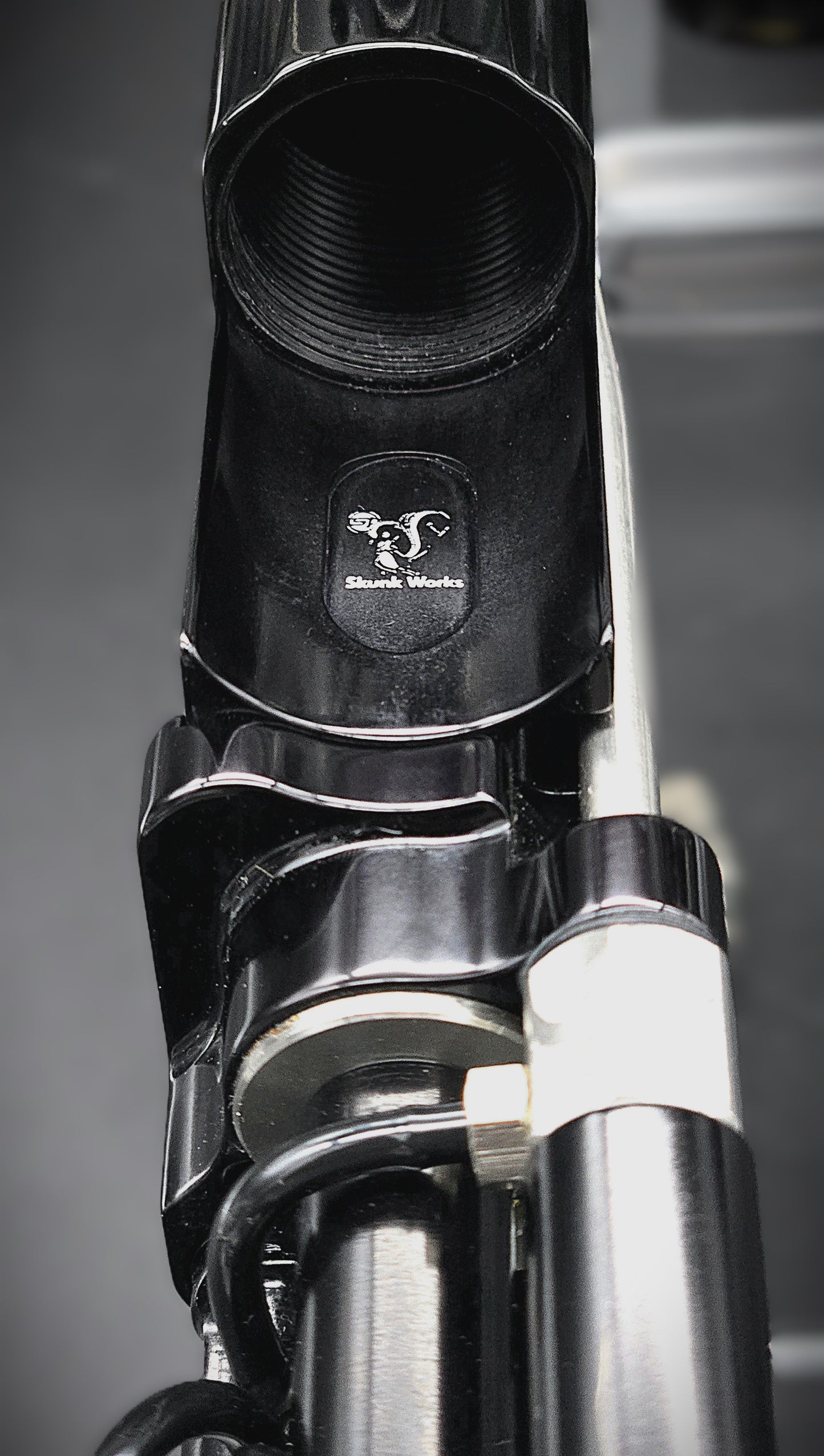 Skunk Works 1 of 1 (2025) Full Body PHAT Rat